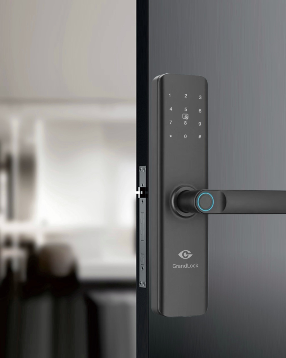 замок GrandLock E12